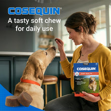 Load image into Gallery viewer, Nutramax Laboratories Cosequin DS Plus MSM Professional Line for Dogs, 60 Soft Chews
