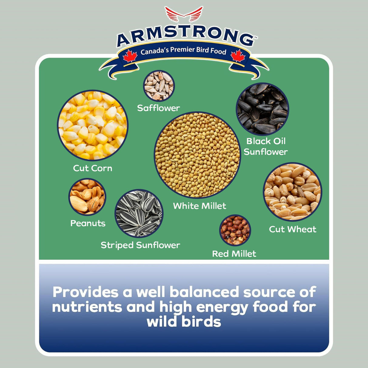 Armstrong Bird Food Gourmet Blend, 33 Pounds - with White & Red Millet, Cut Corn, Wheat, Black Oil Sunflower, Striped Sunflower, Peanuts & Safflower for Blue Jays and Northern Cardinals