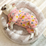 Dog Surgery Recovery Suits, Puppy After Surgery Onesie for Female Dogs, Post Surgical Recovery Onesies French Bulldogs, Small Dogs Pajamas Long Sleeve for Shedding Skin Disease