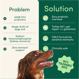 Fifth & Fido Breath Buddy Dog Dental Powder for Fresher Breath & Cleaner Teeth, Cat & Dog Teeth Cleaning Powder, Removes Plaque, Gentle Formula for Sensitive Stomachs, Natural Ingredients, USA Made