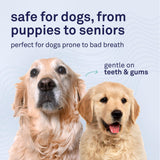 Petpost | Toothpaste for Dogs - Coconut Oil and Baking Soda Based Dental Gel That Naturally Eliminates Bad Breath - Dirt, Gunk, and Tooth Buildup Gone - Mint Flavor 4 oz.