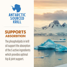 Load image into Gallery viewer, Grizzly Pet Products Joint Aid Liquid Hip and Joint Health Supplement Product for Dogs and Cats, 32 Ounce
