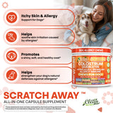 Dog Allergy Chews and Itchy Skin Relief for Dogs | Colostrum Quercetin Astragalus Bromelain | Immune Anti Itch Coat Supplement Aller Ichting Bites Treatment Paw Allergies + Echinacea Nettle Omega 3
