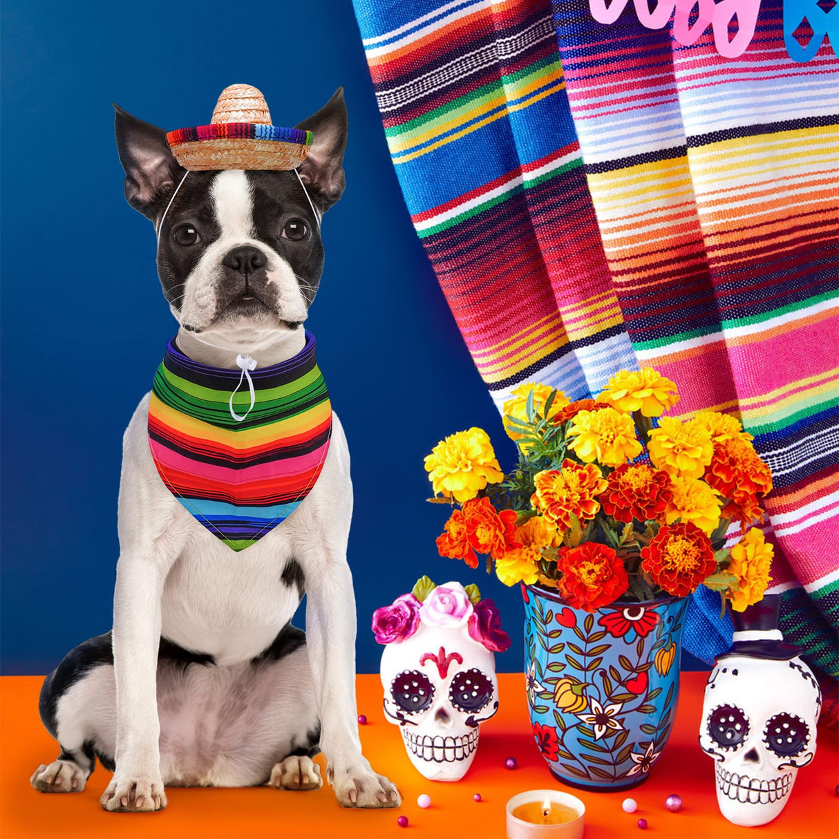 SCENEREAL Mexican Serape Dog Costume, Dog Sombrero Hat Pet Bandana Poncho Costume, Stitch Funny Dogs Colthes with Cowboy Hat for Small Medium Dogs, Chihuahua Clothes for Halloween Party Decorations