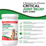 VetSmart Formulas Critical Joint Relief Soft Chew for Dogs – Hip & Joint Supplement with Glucosamine, MSM, Green-Lipped Mussel – Joint Discomfort, Hip Dysplasia & Mobility Support, Made in USA
