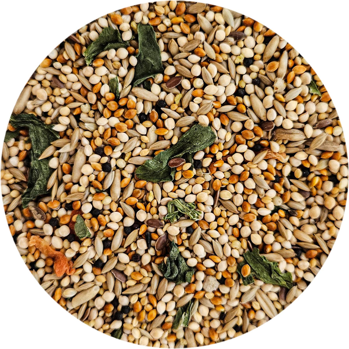 Sweet Harvest Finch Bird Food, 4 lbs Bag - Seed Mix for Finches