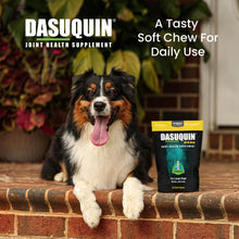 Load image into Gallery viewer, Nutramax Dasuquin for Large Dogs, Joint Health Supplement, Contains Glucosamine for Dogs, Plus Chondroitin, ASU, MSM and More, Supports Healthy Joints, Soft Chews, 84 Count
