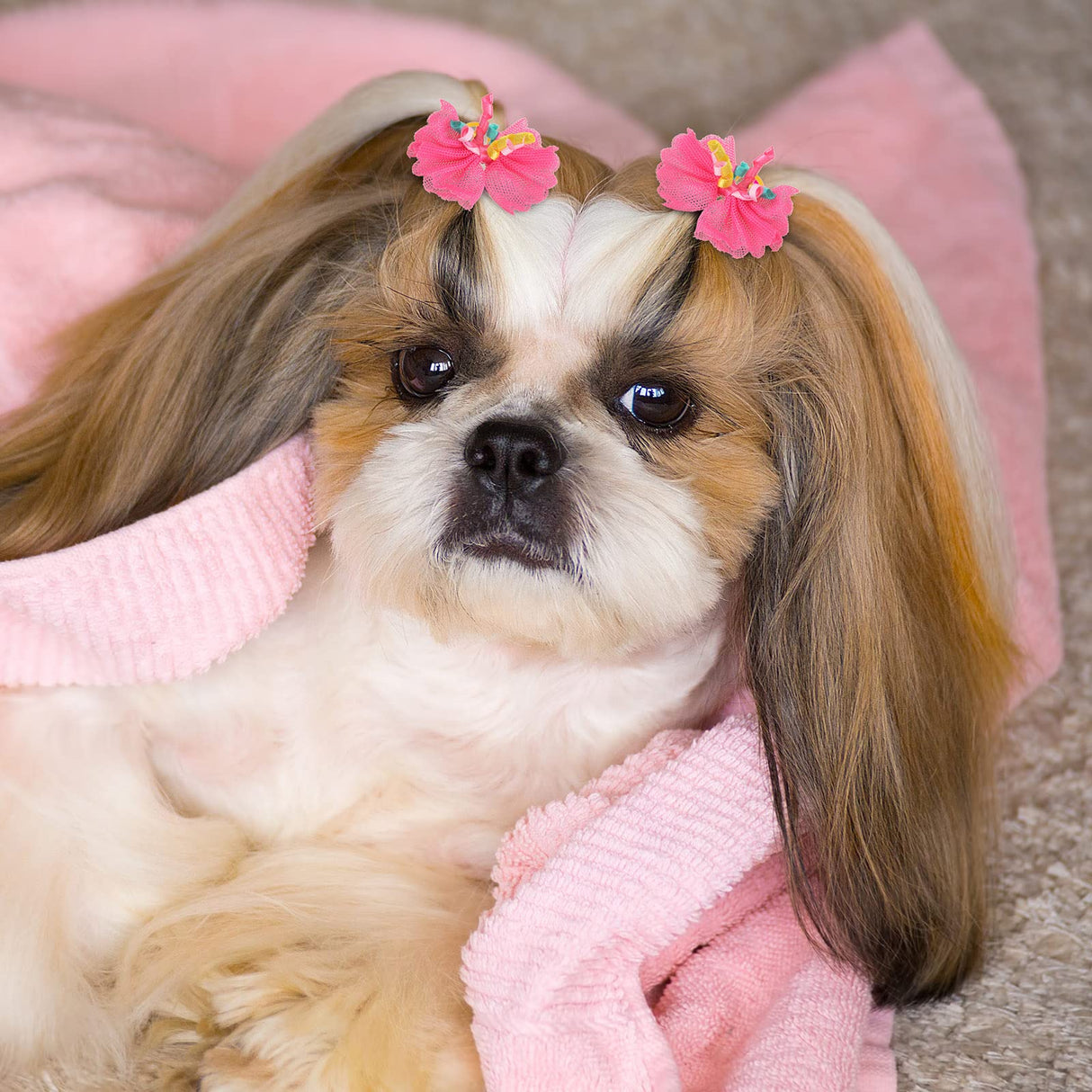 Chumia 100 Pcs Dog Hair Bows with Rubber Band for Small Dogs Puppy Hair Accessories Grooming Bows Pet Bowknot for Cat Poodle Shih Tzu