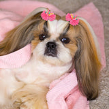 Chumia 100 Pcs Dog Hair Bows with Rubber Band for Small Dogs Puppy Hair Accessories Grooming Bows Pet Bowknot for Cat Poodle Shih Tzu