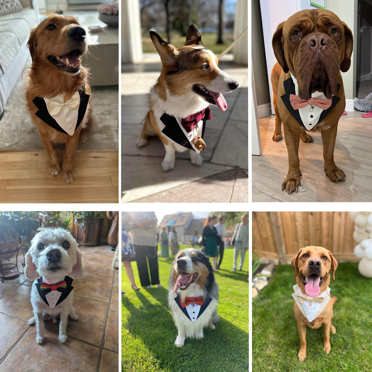 Custom-Fit Dog Tuxedo with Bow Tie & Lapel Uncut Cham Eyelet | Keyhole Fishtail Buttonhole Design | Optional Ring Bearer Clasp | Perfect Outfit for Wedding & Birthday by ACORD EU (Purple)