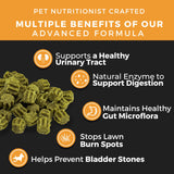 Pet Chef Dog Urine Neutralizer for Lawn Grass Burn Spot Saver Soft Chews Helps Reduce Yellow Spots & Protect Yard Plant-Safe Lawn Support Supplement 140 Chews Vegan Bacon