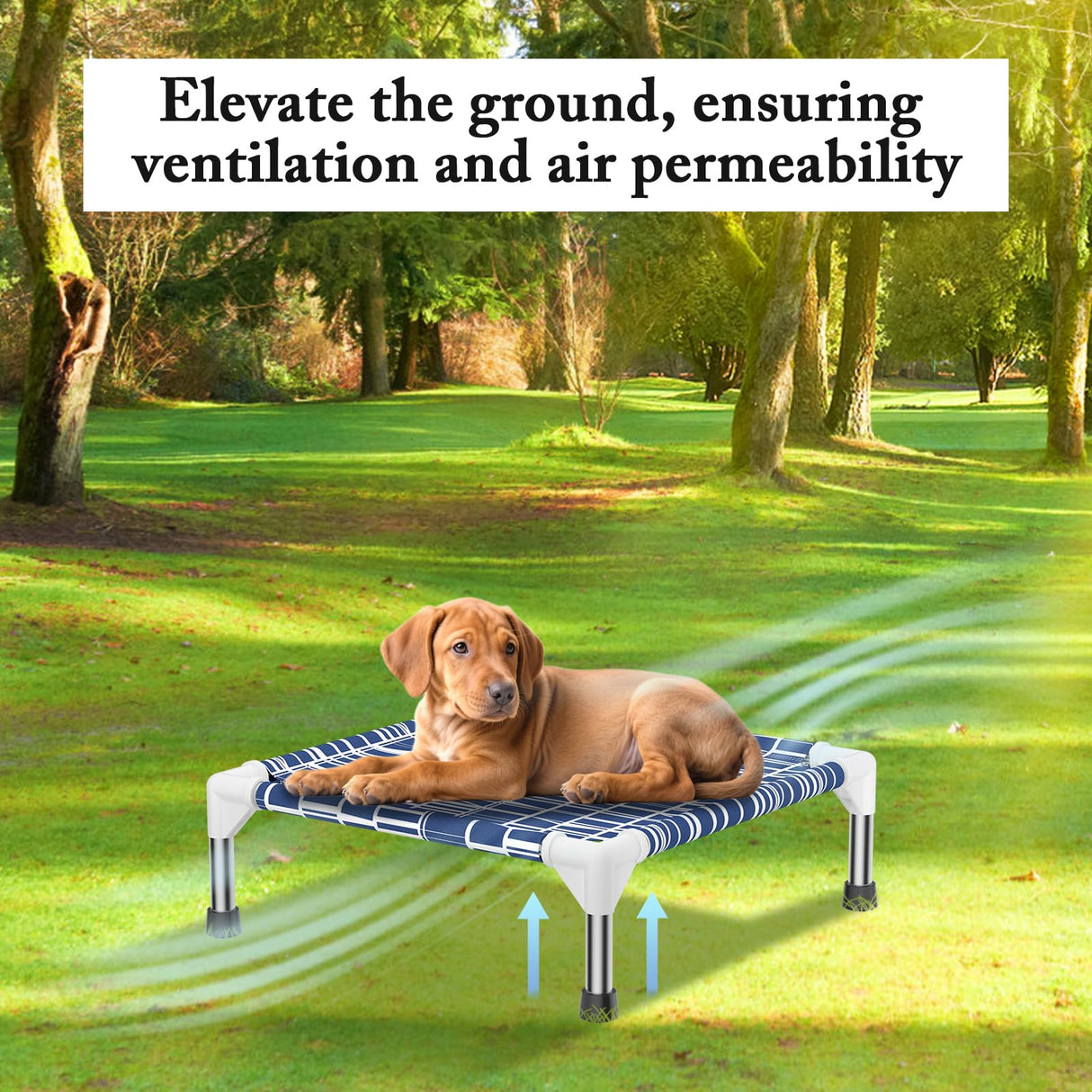 Elevated Dog Bed - Soft Comfortable Fabric, Easy to Clean, Stainless Steel Frame, Raised Design for Air Circulation, Durable Pet Cot for Small Dogs, Breathable & Stable Puppy Bed