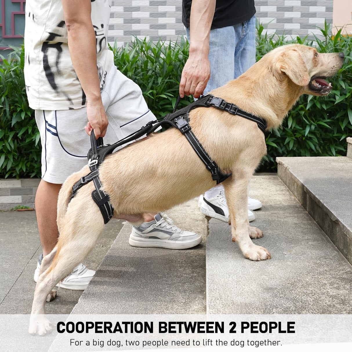 COODEO Mobility Dog Lift Harness, Support Sling & Walking Sling for Dogs, Pet Rear Leg Rehabilitation Support Vest, Dog Carrier for Senior Dogs with Joint Injuries, Arthritis, Up Stair (Black, XL)