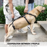 COODEO Mobility Dog Lift Harness, Support Sling & Walking Sling for Dogs, Pet Rear Leg Rehabilitation Support Vest, Dog Carrier for Senior Dogs with Joint Injuries, Arthritis, Up Stair (Black, XL)