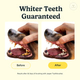 Jasper Dog Toothbrush, 360 Degree Dog Tooth Brushing Kit, Cat Toothbrush, Canine Dental Care & Teeth Cleaning Kit, Pet Finger Tooth Brush, Use with Pet Toothpaste, 4-Pack Blue