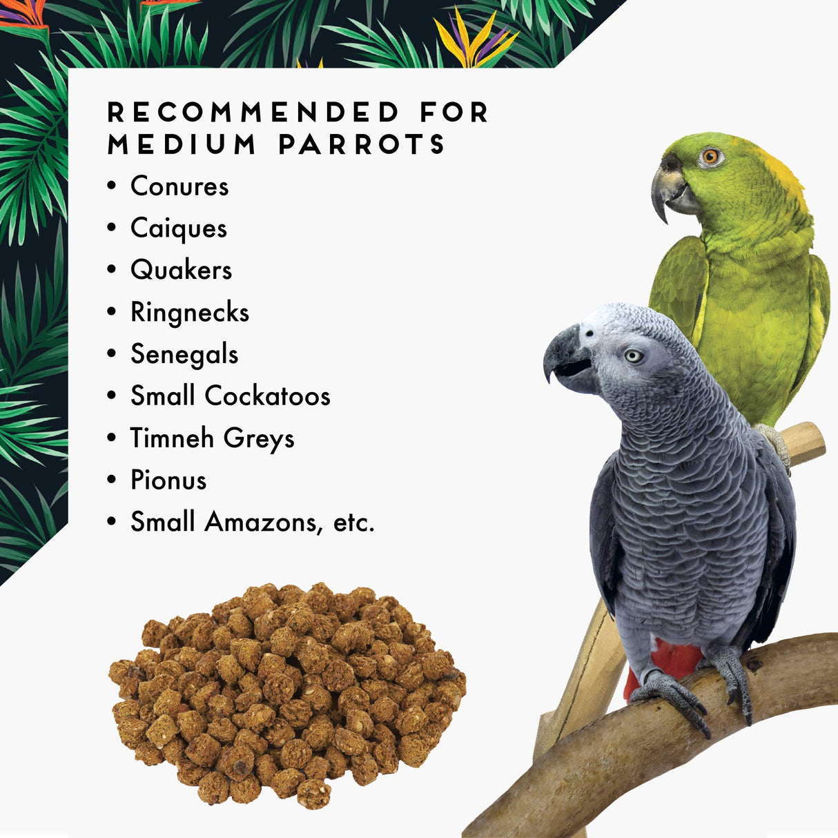 Oven Fresh Bites Natural Baked Avian Diet, All-Natural Bird Food, Whole Grain, Medium Parrot, 28 Oz