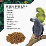 Oven Fresh Bites Natural Baked Avian Diet, All-Natural Bird Food, Whole Grain, Medium Parrot, 28 Oz