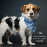 Pet Passion Bandit - The PET Bandana 100% Organic Cotton Pet Bandanas Clothes for Small, Medium, Large Dogs, 3-Pack Sage Camo, X-Small/Small