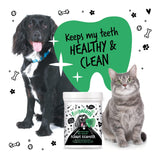 BUGALUGS Plaque Off Remover for Dog Teeth & Bad Breath 100% Natural | Plaque Off No Toothbrush or Dog Toothpaste | Remove Dog Bad Breath & Plaque Remover for Dogs & Cats (Dog 70g)