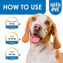 Load image into Gallery viewer, Dog Cough Treatment Liquid • Kennel Cough Medicine for Dogs &amp; Cats • For Breathing During All Life Cycle • Marshmallow Root + Mullein Leaf in the Composition • Natural Supplement for All Breeds • 2 Oz
