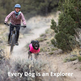 Ruffwear, Hi & Light Dog Shoes, Featherlight Paw Protection with Enhanced Ground Feel & Agile Performance for Fast Adventures, Blue Pool, 2.75"