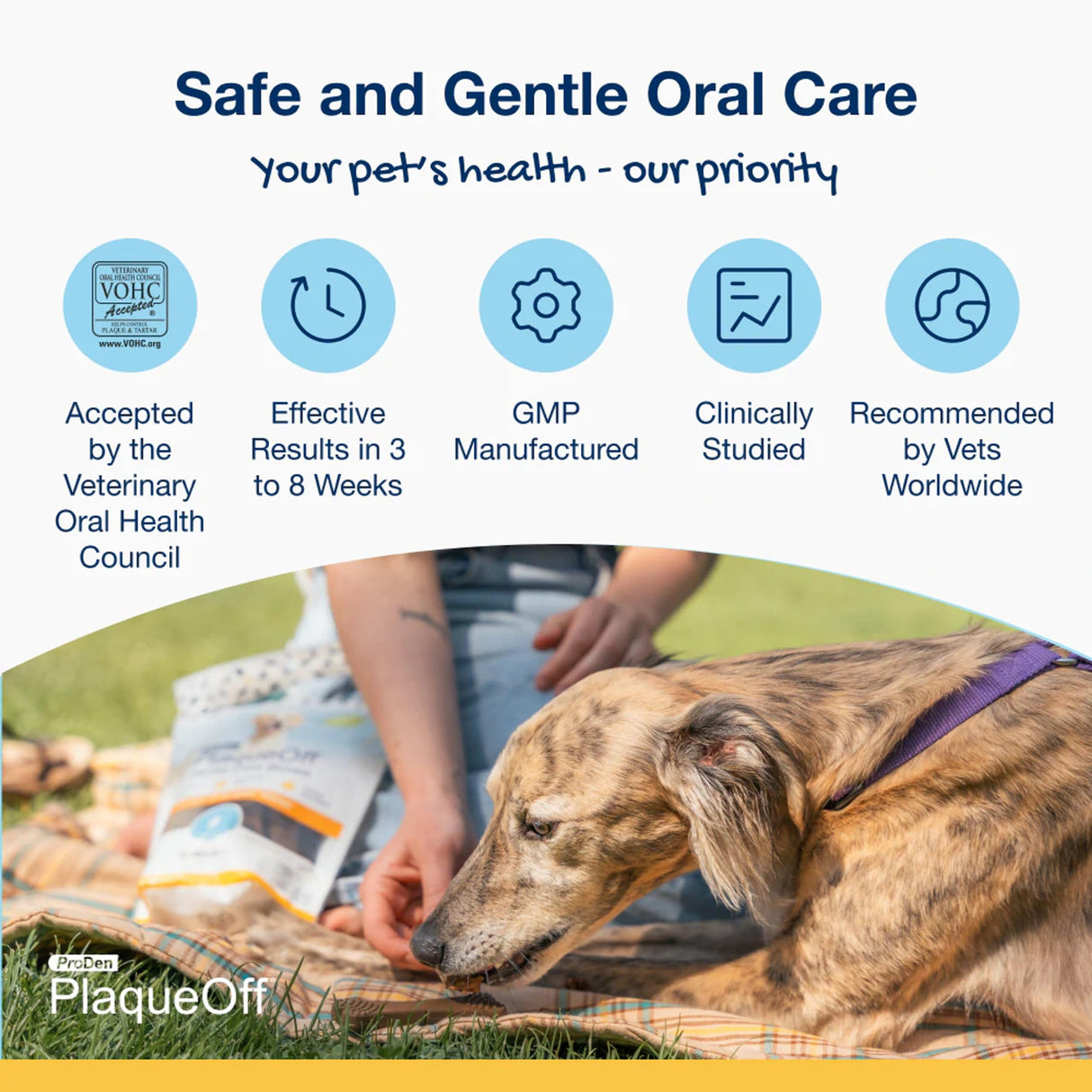 Proden PlaqueOff System Dental Care Bones for Dogs - Vegetable 17 oz