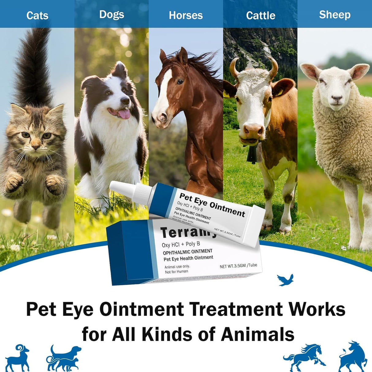 Polika TER-amycin Pet Eye Cream Health for Dogs, Cats, Cattle, Sheep, Horse, Bird 1/8 oz /3.5gr Pack of 2