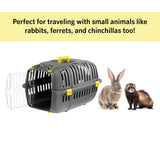 Ferplast Jet Pet Carrier: Value Dog Carrier Suitable for Toy Dog Breeds & Small Cats, Assembled Dimensions are 18.51L x 12.6W x 11.42H inches, Green