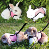 CUTENNIOU Small Pet Carrier Backpack Rabbit Carrier with Harness Vest Stretchy Elastic Leash Large Breathable Pet Carrier Airline Approved for Bunny Guinea Pig Ferret Hedgehog Kitten Travel Walking