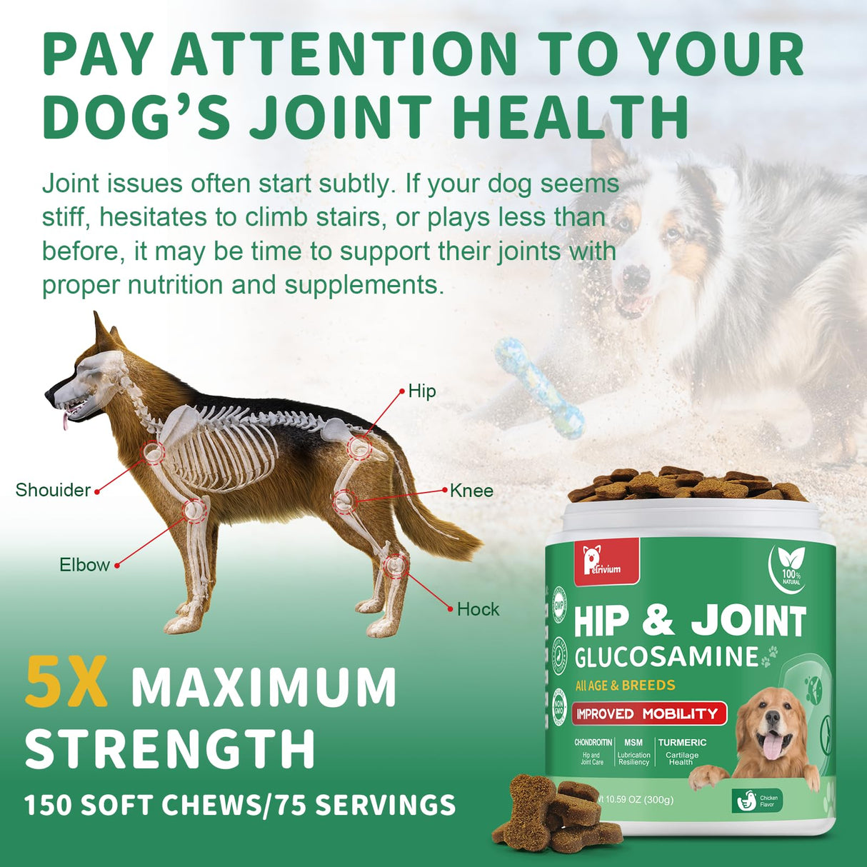 Hip and Joint Supplement for Dogs, Glucosamine Treats Chews with Chondroitin, MSM, Turmeric - Support Joint Pain Relief, Mobility, Reduce Occasional Discomfort, Fit All Ages and Breeds, 150 Soft Chew