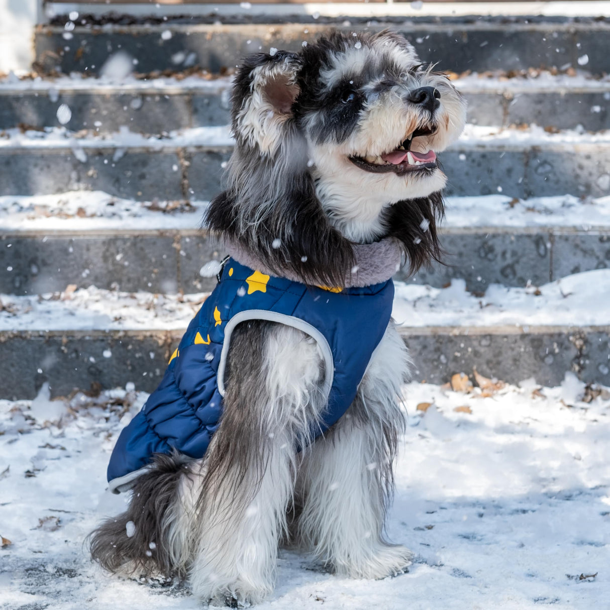 CuteBone Waterproof Thick Dog Winter Coat Doggie Jacket Warm Pet Clothes Comfortable Puffer Dog Vest for Small Medium Large Dogs with Harness Hole YRFN21L