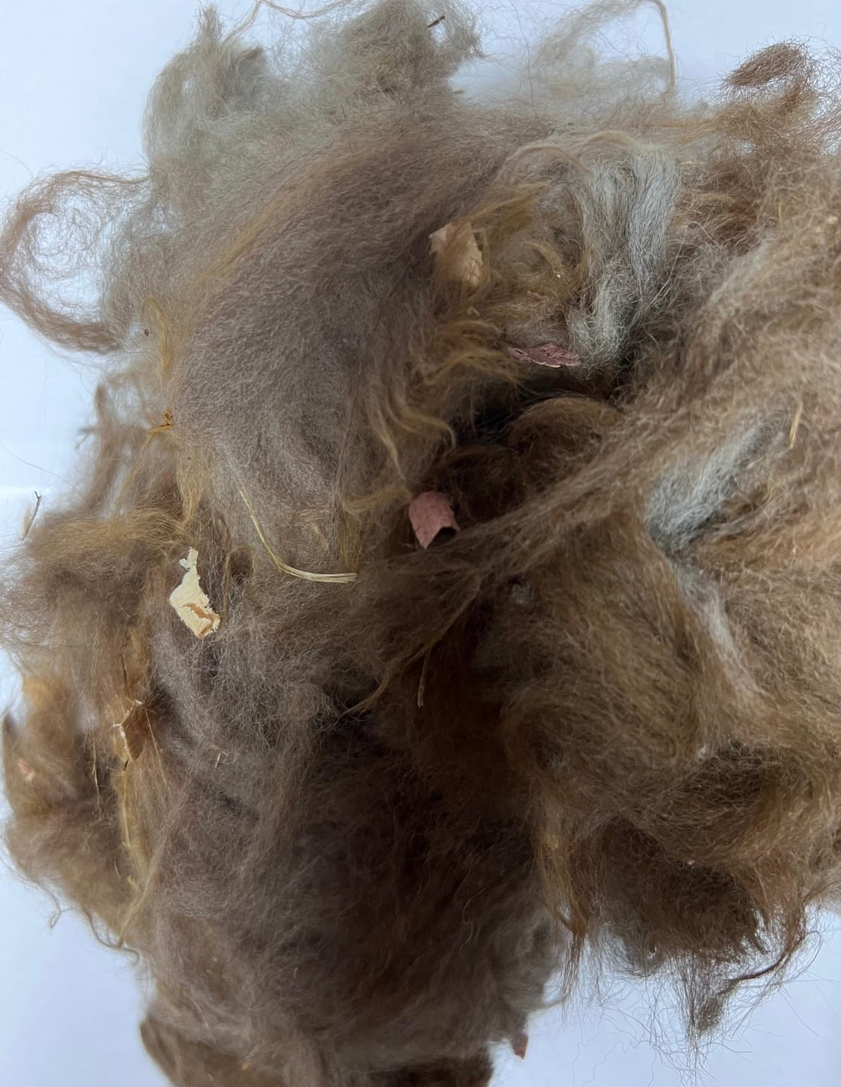 Alpaca/Llama Fiber for Bird Nesting Gallon Bag