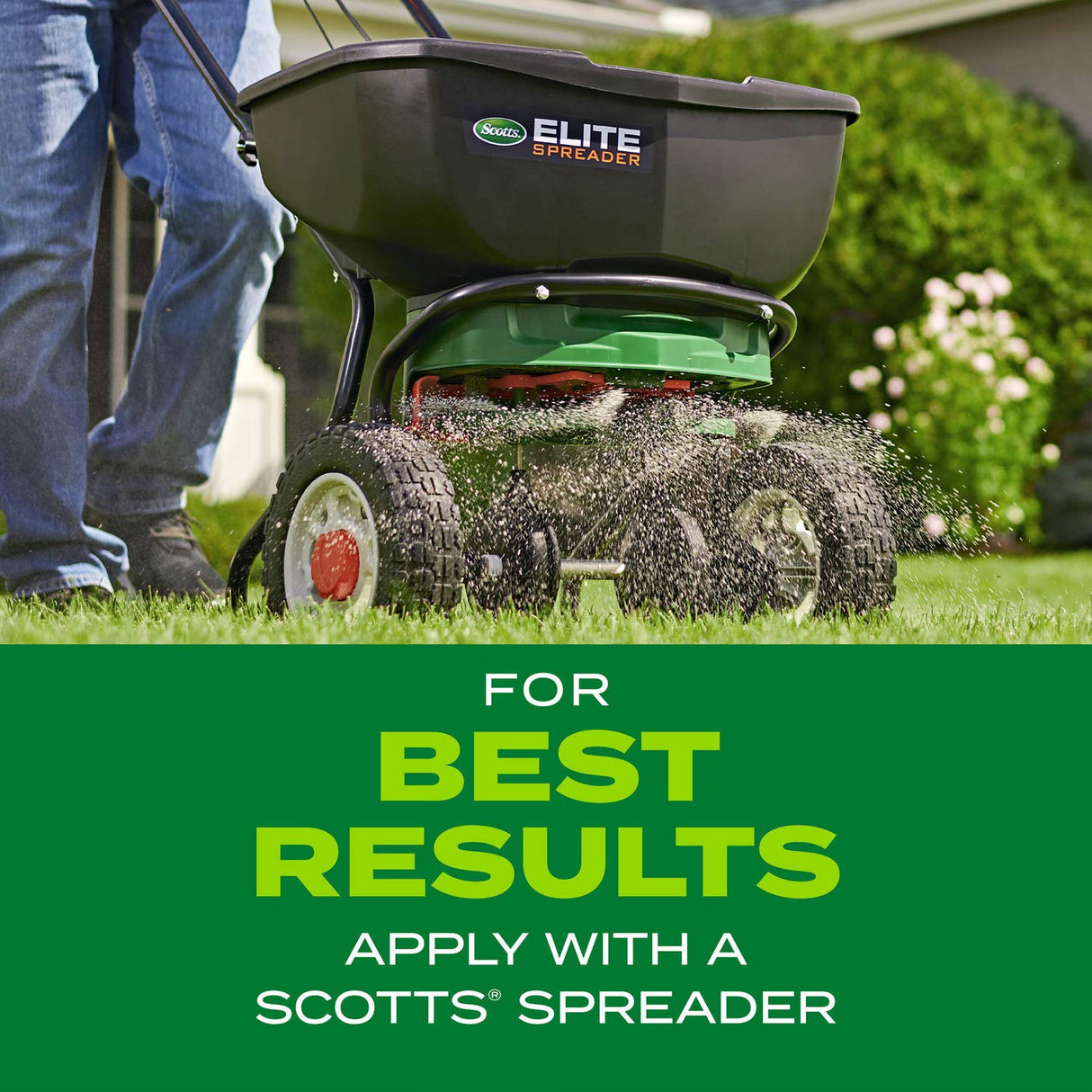 Scotts Turf Builder Rapid Grass Tall Fescue Mix - Combination Grass Seed and Fertilizer for Lawns, Lawn Seed That Grows in Just Weeks, 5.6 lbs.