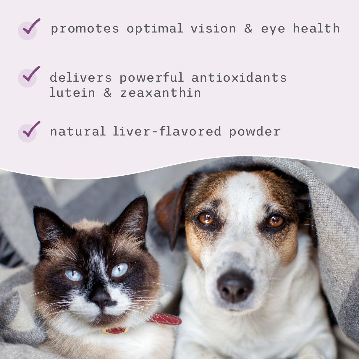Dr. Mercola, Eye Support, For Cats and Dogs, 6.34 oz (180 g), non GMO, Gluten Free