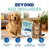 Jope Synbiotic GB-01® - Prebiotics and Probiotics for Dogs & Cats - Clinically Proven Formula - Vet Formulated for Gut Health, Stool Quality, Diarrhea, Immunity, Skin & Coat - 30 Gut Powder Capsules
