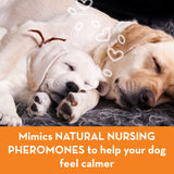 ThunderEase Dog Calming Pheromone Diffuser Kit | Powered by ADAPTIL | Vet Recommended to Relieve Separation Anxiety, Stress Barking and Chewing, and the Fear of Fireworks and Thunderstorms (60 Day Sup