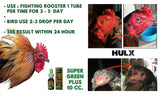 HULX Super Green 10 CC. Rooster Booster Health Care Protection, Quickly Recover Chicken Rooster from Sick, Heal Wounds Pain, Recovery Energy Increase Immunity Poultry & Bird