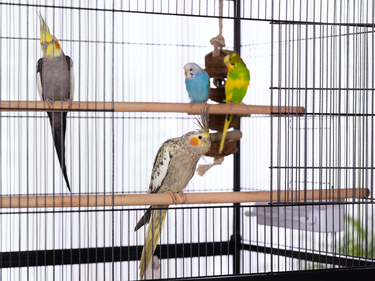 Prevue Pet Products Steel Bird Flight Cage with Wheels - Large Birdcage for Parakeets, Canaries, Finches, Cockatiels, Lovebirds, & Green Cheek, Metal Standing Birdcage - Black, Large