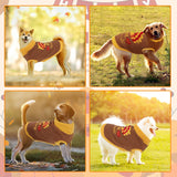 HUMLANJ Thanksgiving Knitted Dog Turtleneck Sweater Dog Sweaters Turkey Warm Pullover Sleeveless with Leash Hole for Puppy Doggy Doggie Yorkshire Chihuahua Pug(XL)