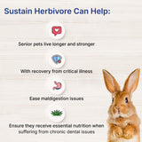 EMERAID Sustain Herbivore (400 g, Mint)