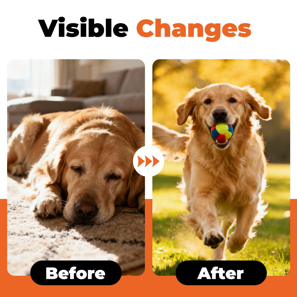 Electrolytes for Dogs – Vet-Formulated Hydration Supplement– Supports Post-Surgery & Illness Recovery– Helps Replenish Fluids & Electrolytes Lost from Diarrhea, Vomiting & Poor Appetite