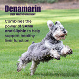 Nutramax Laboratories Denamarin Liver Health Supplement for Medium Dogs - With S-Adenosylmethionine (SAMe) and Silybin, 30 Tablets