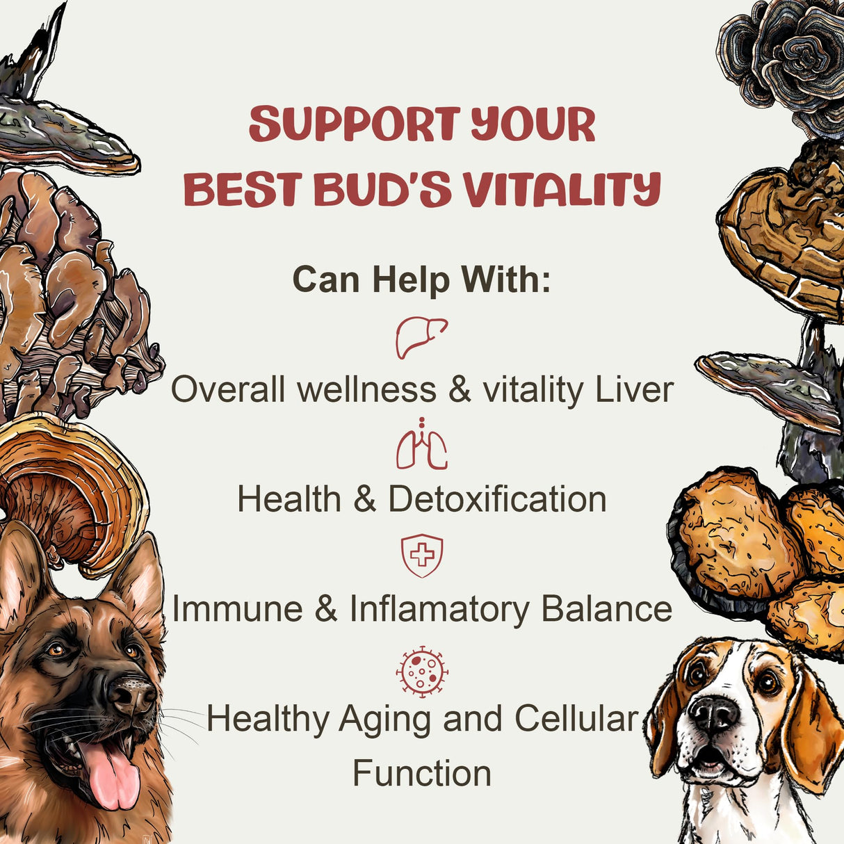 MycoDog Vitality - Turkey Tail Mushroom for Dogs - Mushroom & Adaptogen Supplement for Senior Dogs - Supporting Immune Health & Daily Wellness - with Reishi, Chaga