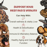 MycoDog Vitality - Turkey Tail Mushroom for Dogs - Mushroom & Adaptogen Supplement for Senior Dogs - Supporting Immune Health & Daily Wellness - with Reishi, Chaga