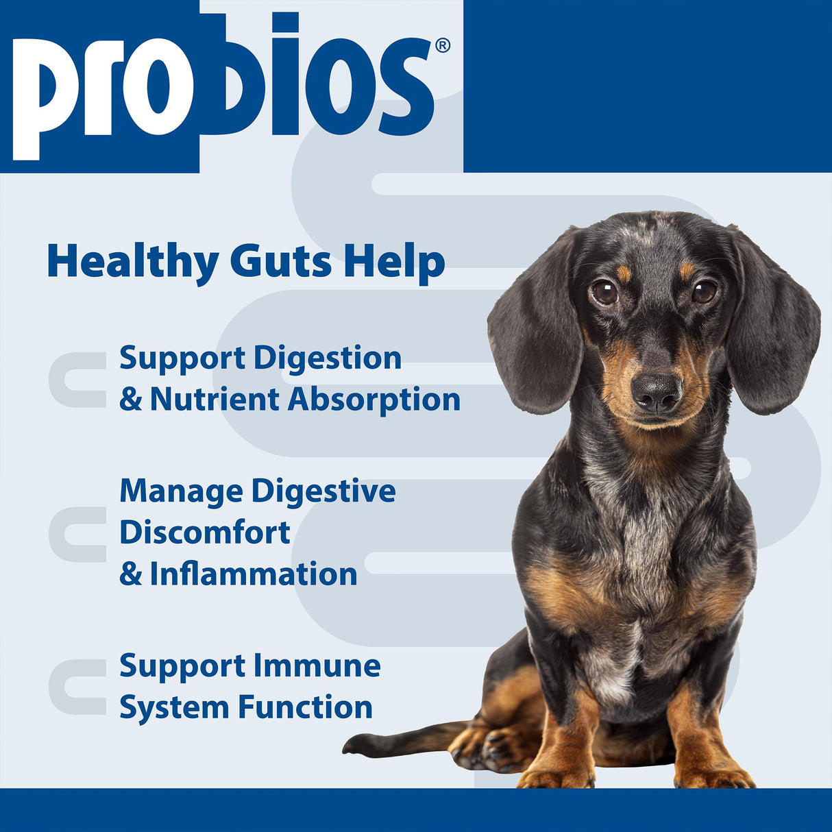 Probios for Dogs Soft Chews, Probiotics for Dogs, Daily Supplement for Gut Health, Digestion & Immune Support, Small Breeds, 4.23oz