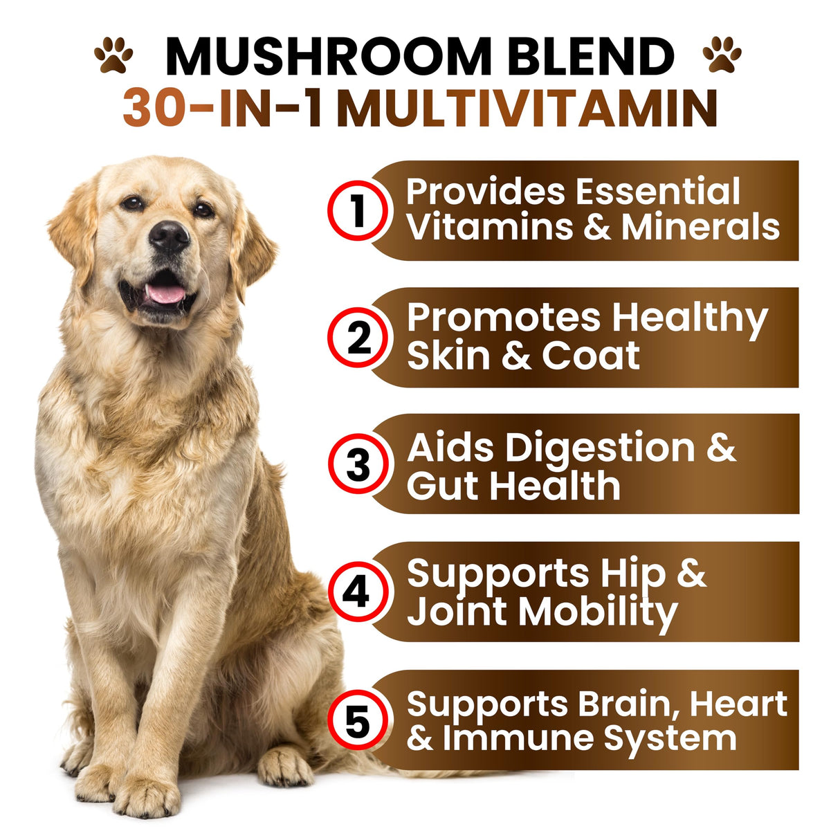 Turkey Tail Mushroom Supplement for Dogs - 170 Chews - Mushrooms for Dogs - Reishi, Lion’s Mane, Glucosamine Multivitamin - Immune Booster, Gut, Hip & Joint Health Support Vitamins, Energy & Skin