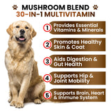 Turkey Tail Mushroom Supplement for Dogs - 170 Chews - Mushrooms for Dogs - Reishi, Lion’s Mane, Glucosamine Multivitamin - Immune Booster, Gut, Hip & Joint Health Support Vitamins, Energy & Skin