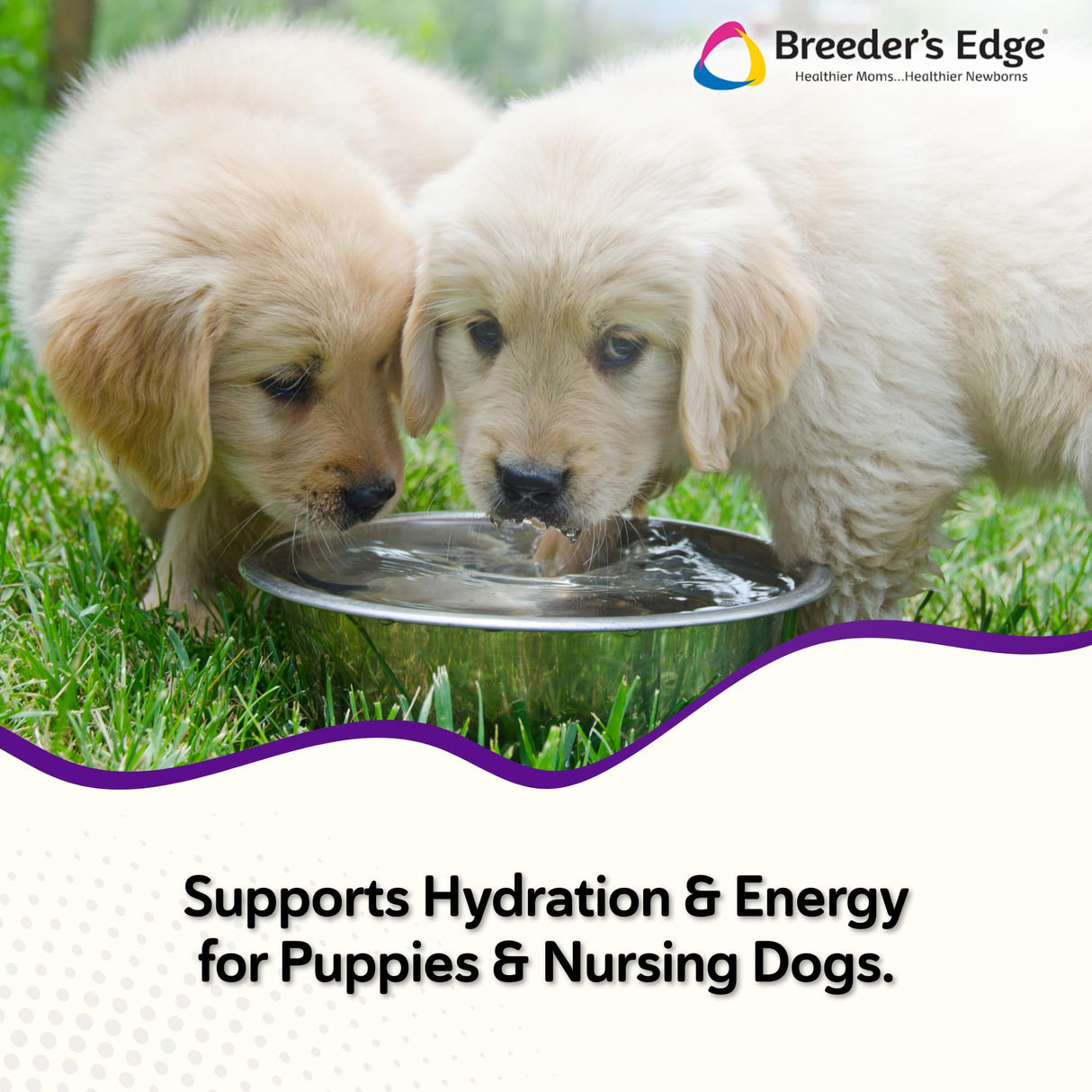 Breeder’s Edge Puppy Lyte, Electrolyte Supplement for Puppies and Nursing Dogs, Supports Hydration, Energy & Recovery, Chicken Soup Flavor, 300g