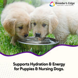 Breeder’s Edge Puppy Lyte, Electrolyte Supplement for Puppies and Nursing Dogs, Supports Hydration, Energy & Recovery, Chicken Soup Flavor, 300g