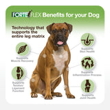 Forte Flex K9 Joint & Hip Supplement for Dogs – Hip Dysplasia, Joint Stiffness, Anti-Inflammatory & Mobility Support – Serrapeptase, Glucosamine, Chondroitin, Collagen & HA for Senior & Active Dogs